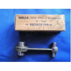 BIELLA CECCATO 100